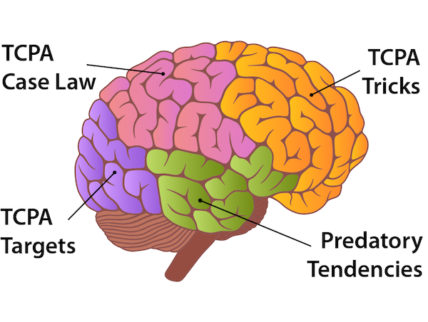 An illustration of human brain with the different sections labeled with terms relevant to TCPA compliance