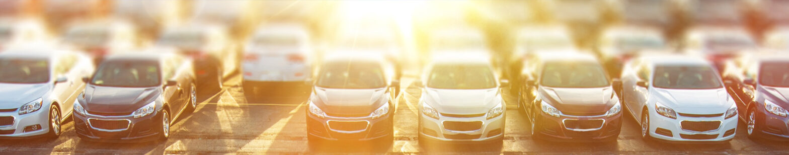 new cars in the sunlight