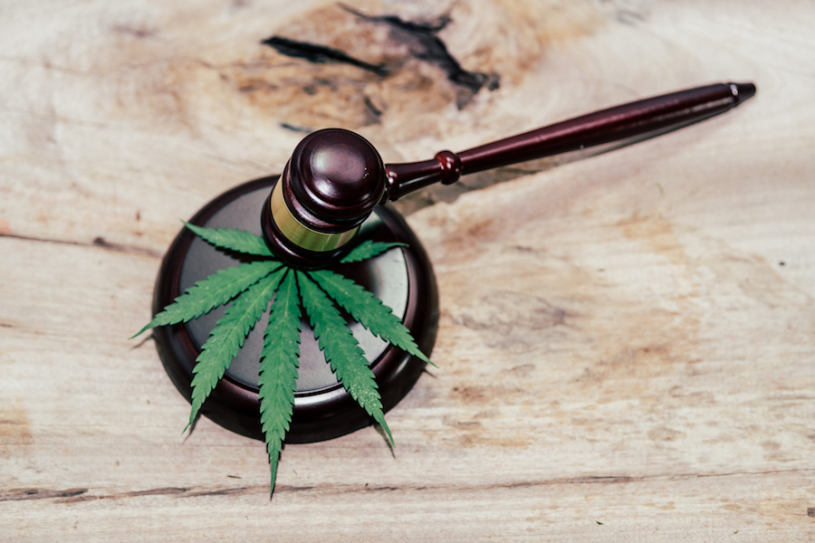 A gavel and a marijuana leaf