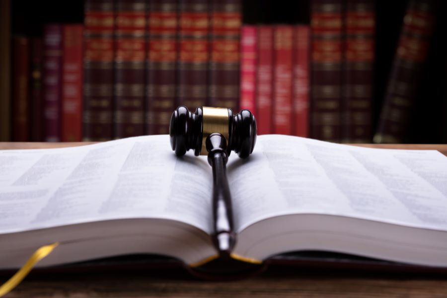 a gavel sits on an open law book