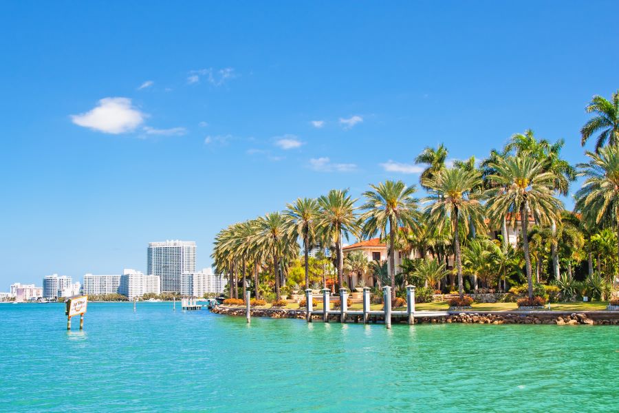 Palm trees alongside Biscayne Bay in Miami, Florida