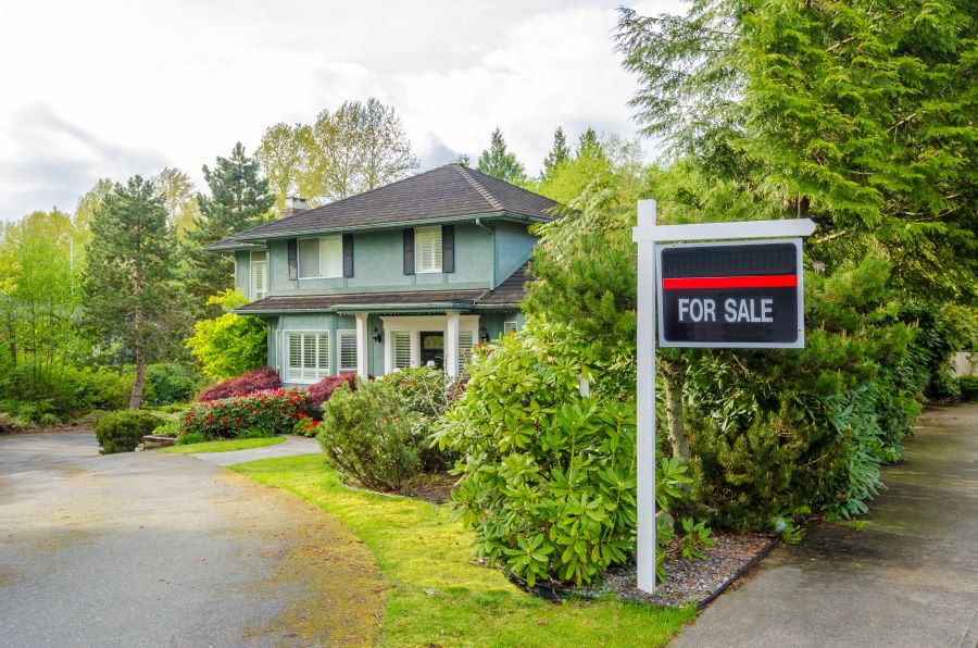 A "For Sale" sign in front of a green, two-story house surrounded by trees and bushes