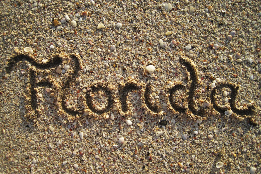 The word "Florida" written in the sand on a beach