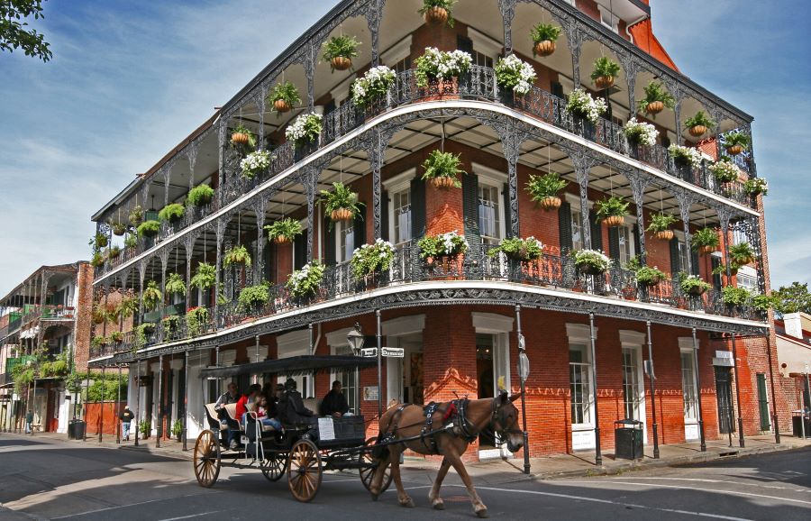 A horse-drawn carriage travels in front of a three story building in the French Quarter of New Orleans. The balconies of the building are festooned with potted plants.